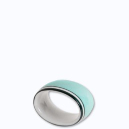 Reichenbach Colour Sylt Türkis