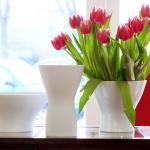 Reichenbach Wohndesign Masaai Reichenbach Wohndesign Masaai