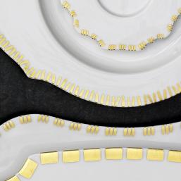 Reichenbach Taste Gold III