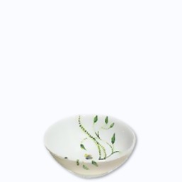 Raynaud Histoire Naturelle