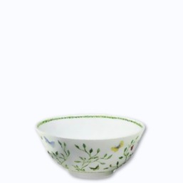 Raynaud Histoire Naturelle