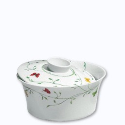 Raynaud Histoire Naturelle