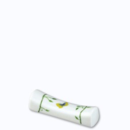 Raynaud Histoire Naturelle