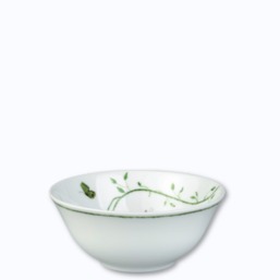 Raynaud Histoire Naturelle