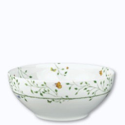 Raynaud Histoire Naturelle