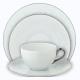 Raynaud dinnerware Mineral Platine