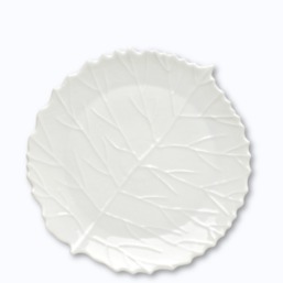 Jacques Pergay Arbre Pochette