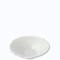 Jacques Pergay Arbre Pochette