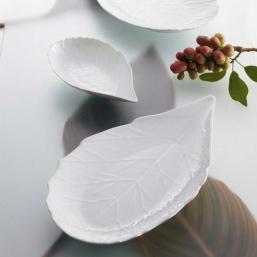 JacquesPergay Aubepine