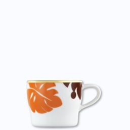 Fürstenberg Auréole Colorée