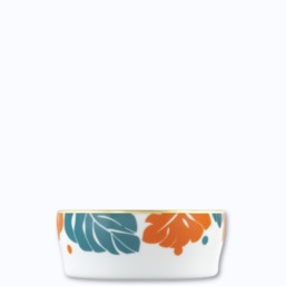 Fürstenberg Auréole Colorée