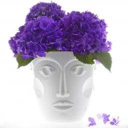 SiegerbyFürstenberg Faces