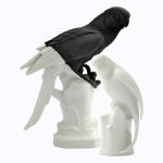 Gräfenthal by Reichenbach living Birds Schwarz Weiss