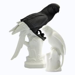 GräfenthalbyReichenbach Birds Schwarz Weiss