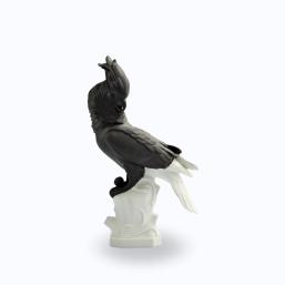 Gräfenthal by Reichenbach Birds Schwarz Weiss