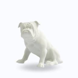 Gräfenthal by Reichenbach Dogs Bisquit