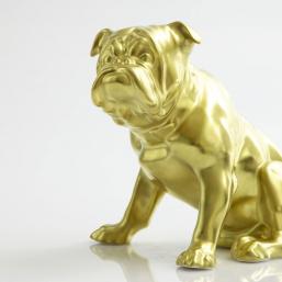 GräfenthalbyReichenbach Dogs Poliergold